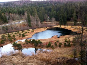 Lac Luitel