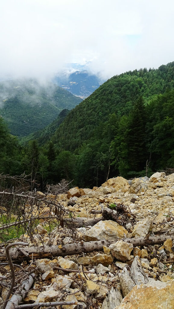 L’attribut alt de cette image est vide, son nom de fichier est DSC01905-577x1024.jpg.