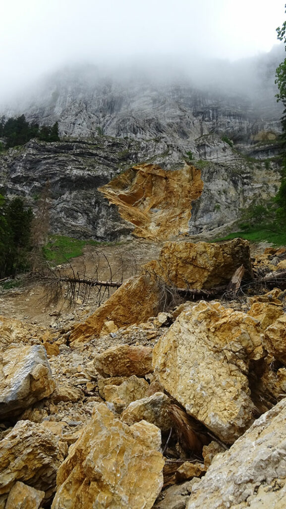 L’attribut alt de cette image est vide, son nom de fichier est DSC01906-577x1024.jpg.