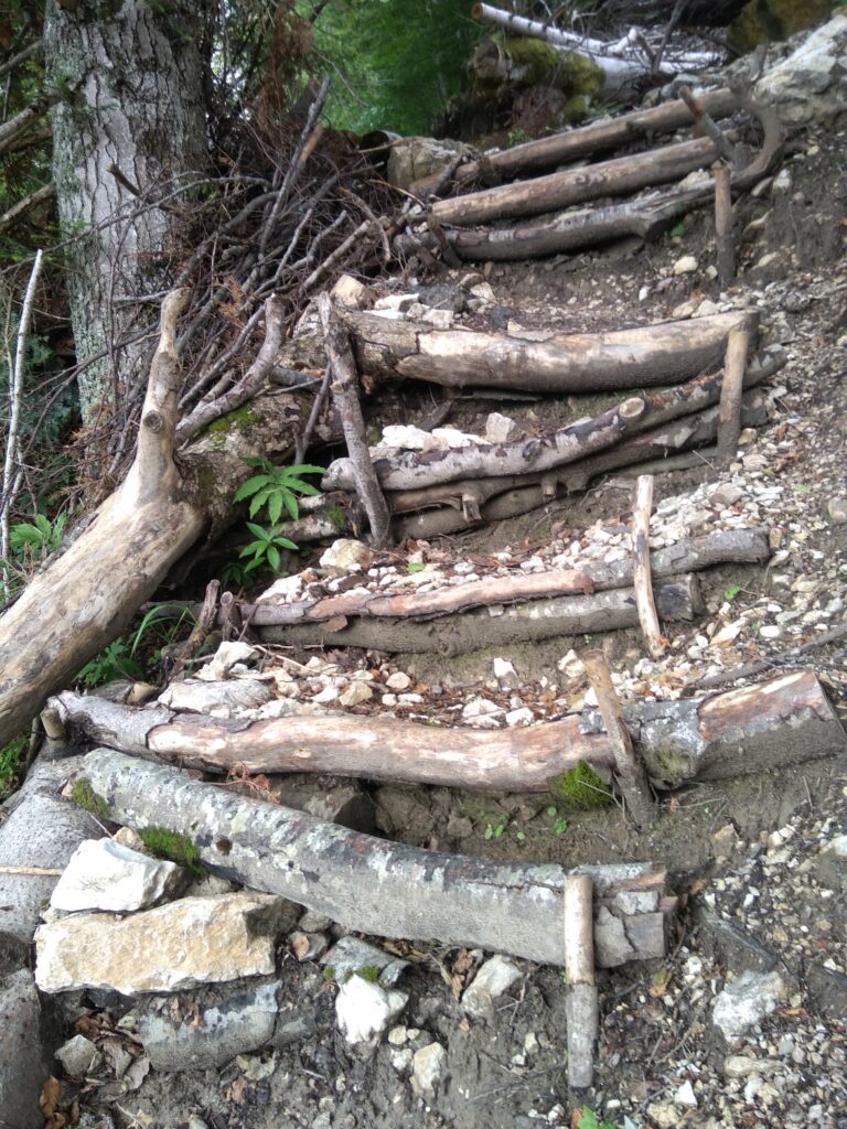 L’attribut alt de cette image est vide, son nom de fichier est Escalier-bois-Pas-du-Mortier-768x1024.jpg.
